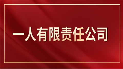 一人有限责任公司是什么?